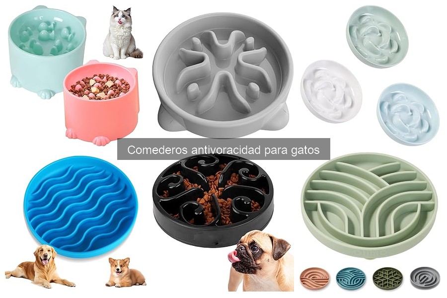 Cómo los comederos antivoracidad afectan el comportamiento de tu gato