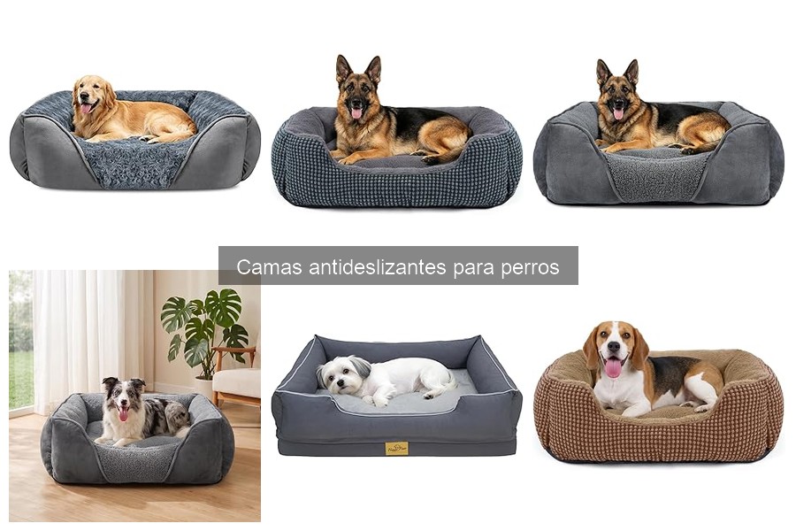 Cómo mantener camas antideslizantes para perros correctamente