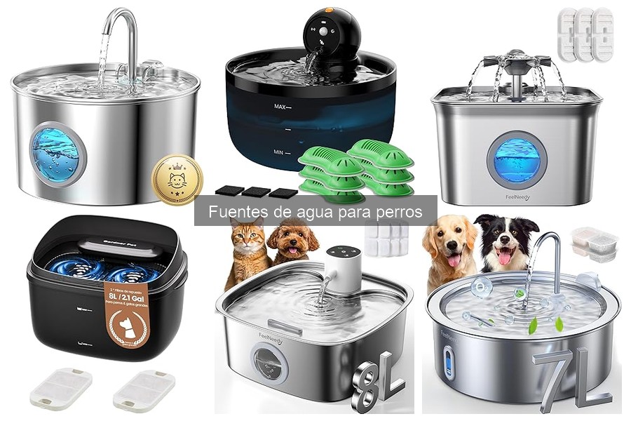 Cómo Mantener Fuentes de Agua para Perros Eficazmente