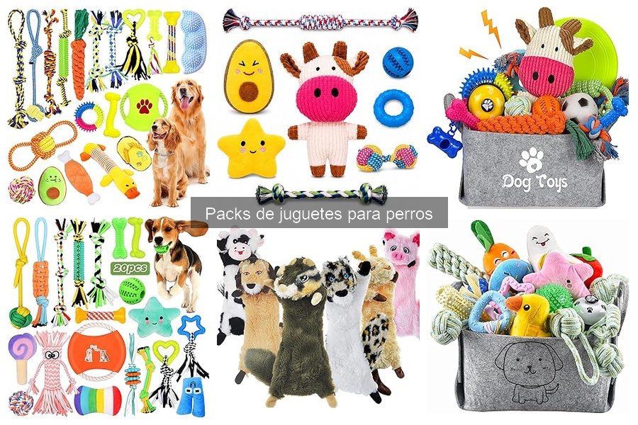 Cómo mantener juguetes para perros: consejos esenciales