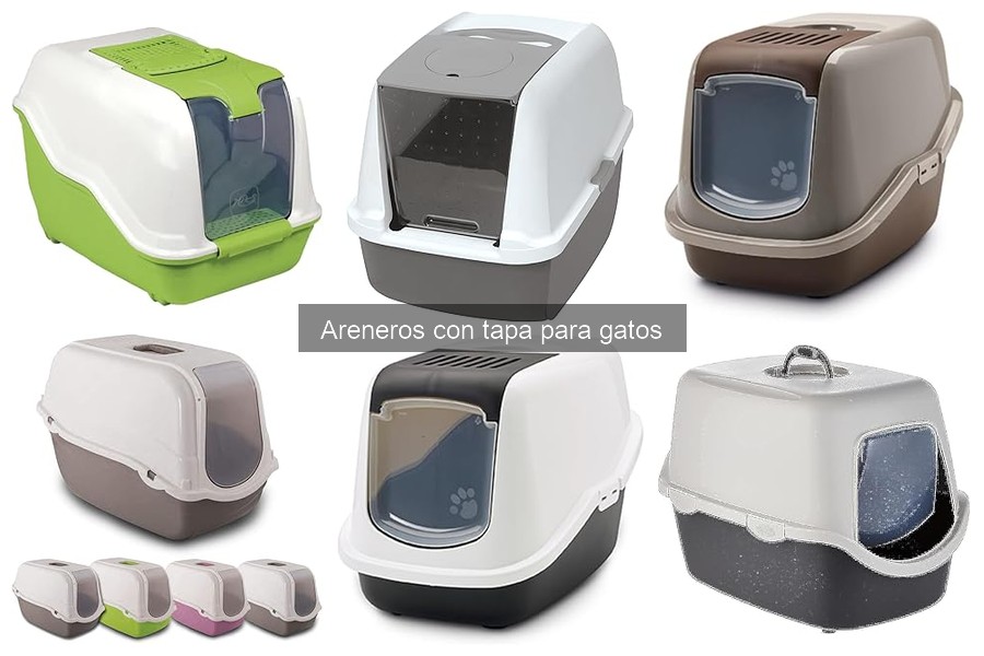 Cómo mantener limpio un arenero con tapa para gatos