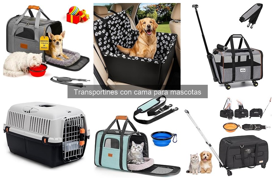 Cómo seleccionar el mejor transportín con cama para mascotas