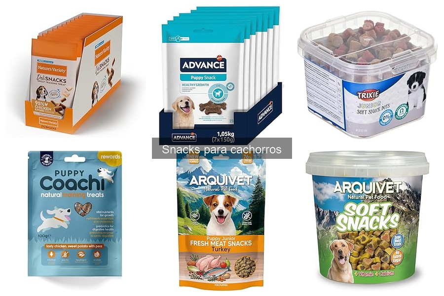 Cómo seleccionar los mejores snacks para cachorros