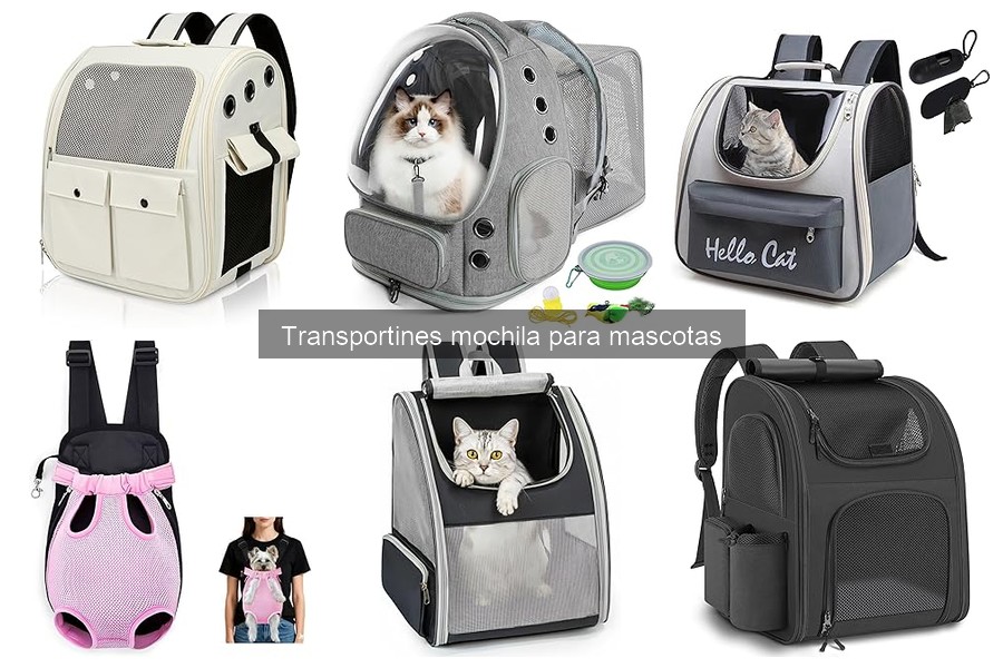 Cómo usar correctamente un transportín mochila para mascotas