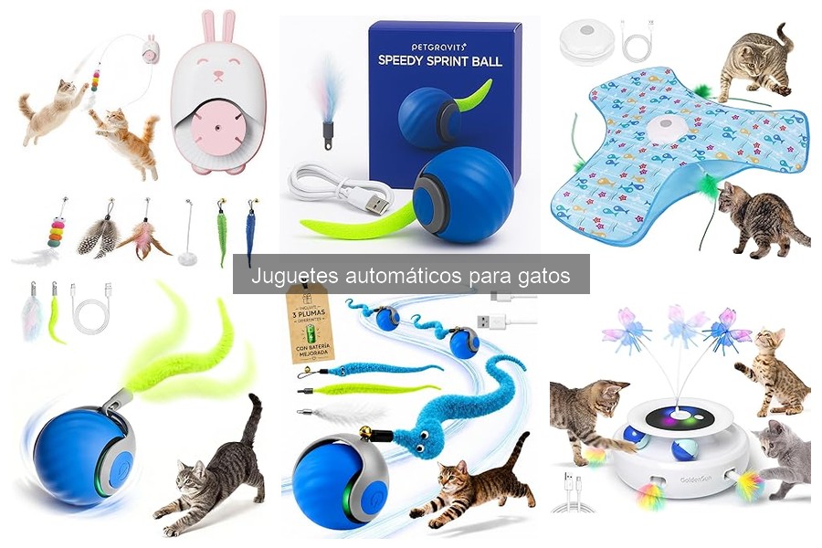 Cómo usar juguetes automáticos para gatos – Guía práctica
