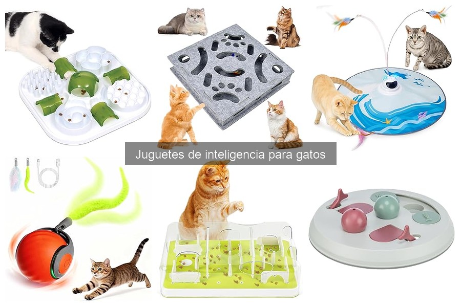 Cómo usar juguetes de inteligencia para estimular a tu gato