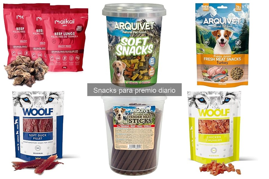 Cómo usar snacks como entrenamiento positivo para perros