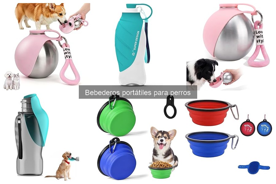 Cómo usar un bebedero portátil para perros: Guía práctica