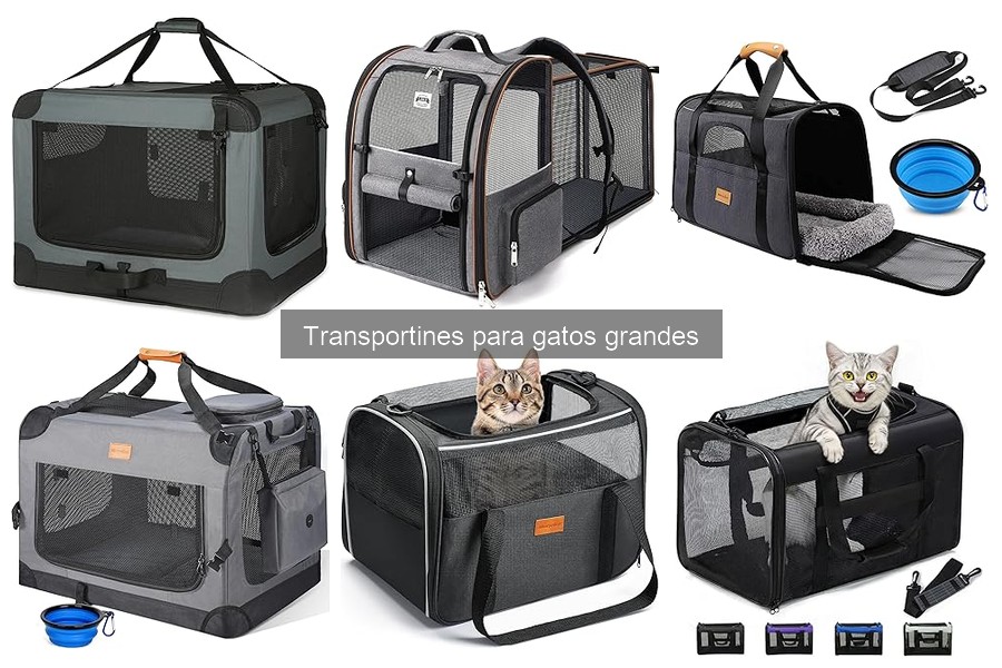 Cómo usar un transportín para gatos grandes de forma efectiva