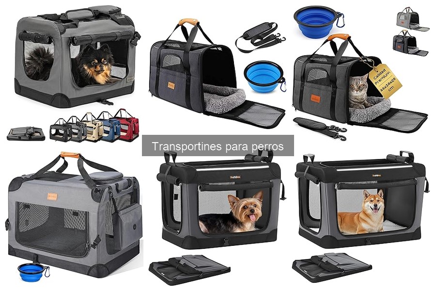 Cómo usar un transportín para perros de forma correcta