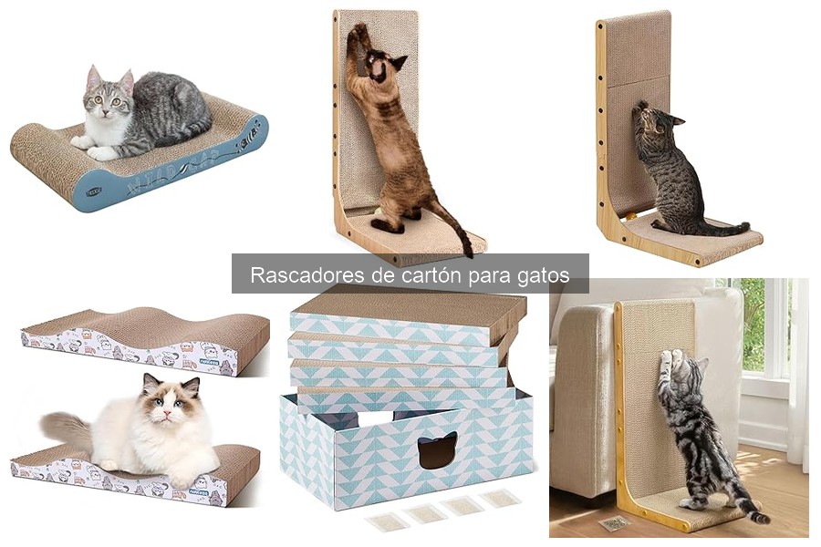 Cómo usar y mantener rascadores de cartón para gatos