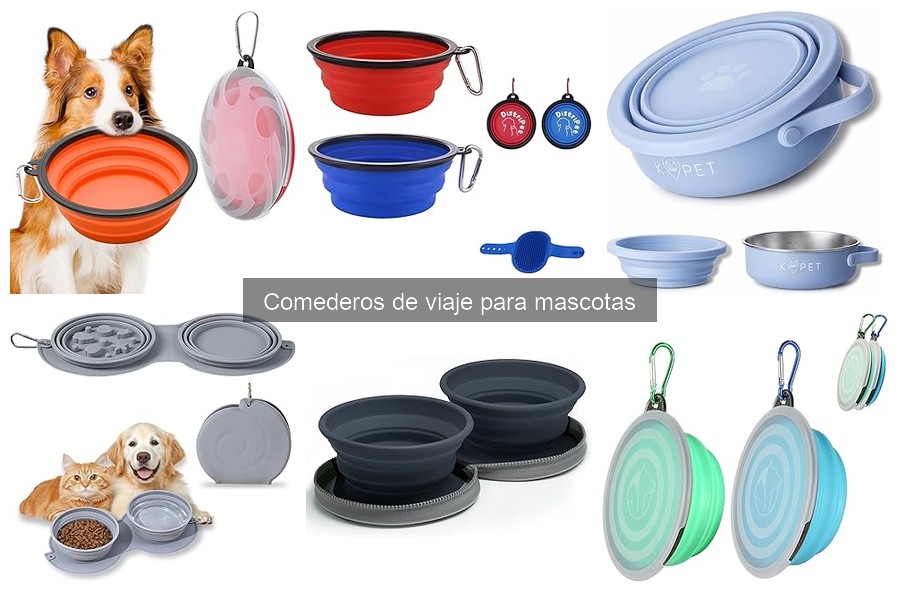Cómo utilizar un comedero de viaje para mascotas de forma efectiva