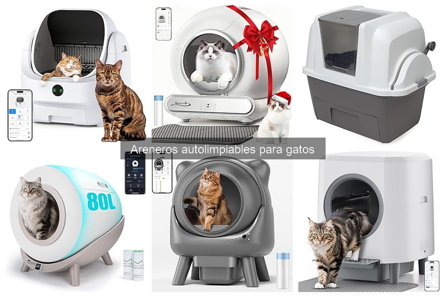 Comparativa: Areneros Autolimpiables vs Tradicionales