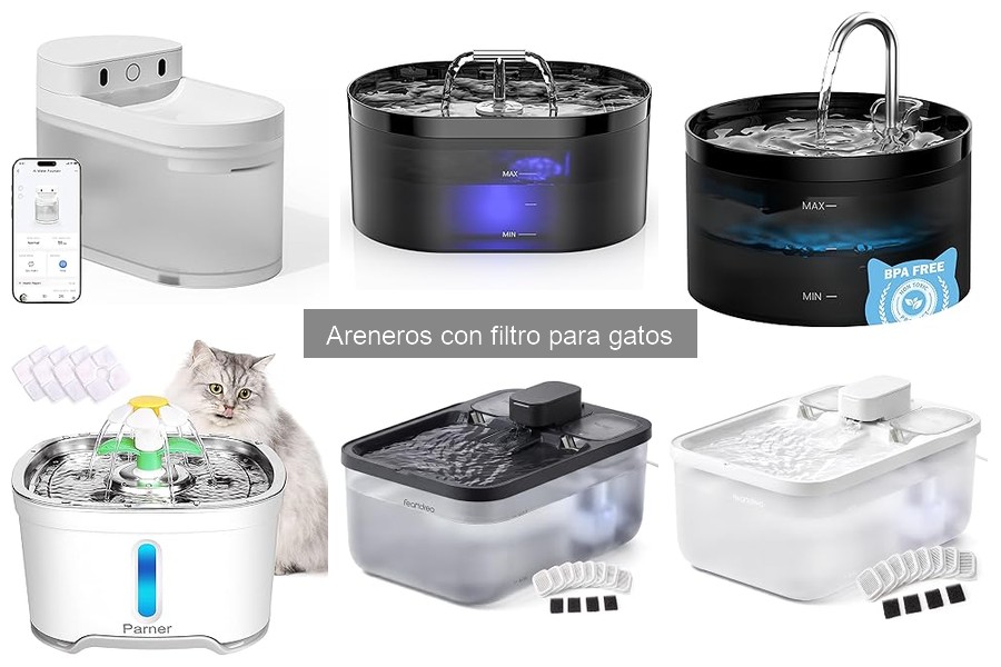 Comparativa: Areneros con filtro vs. areneros tradicionales