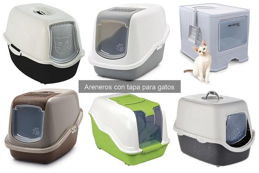 Comparativa Areneros con Tapa vs Sin Tapa para Gatos