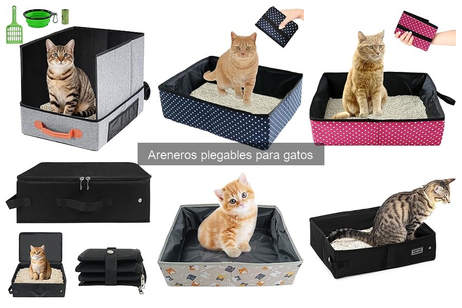 Comparativa: Areneros Plegables vs Fijos para Gatos