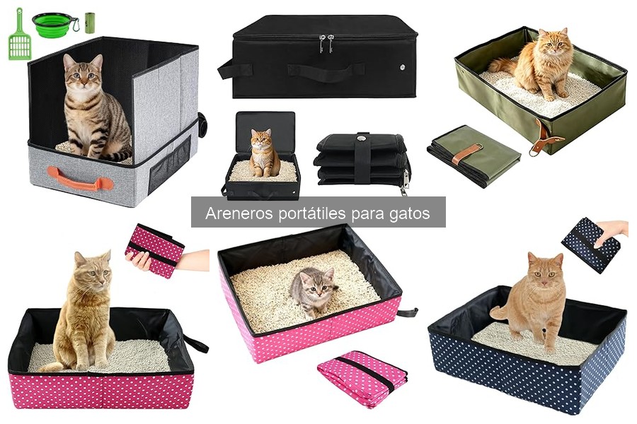 Comparativa: Areneros Portátiles vs. Tradicionales para Gatos