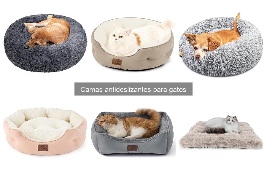 Comparativa: Camas Antideslizantes vs. Camas Tradicionales para Gatos