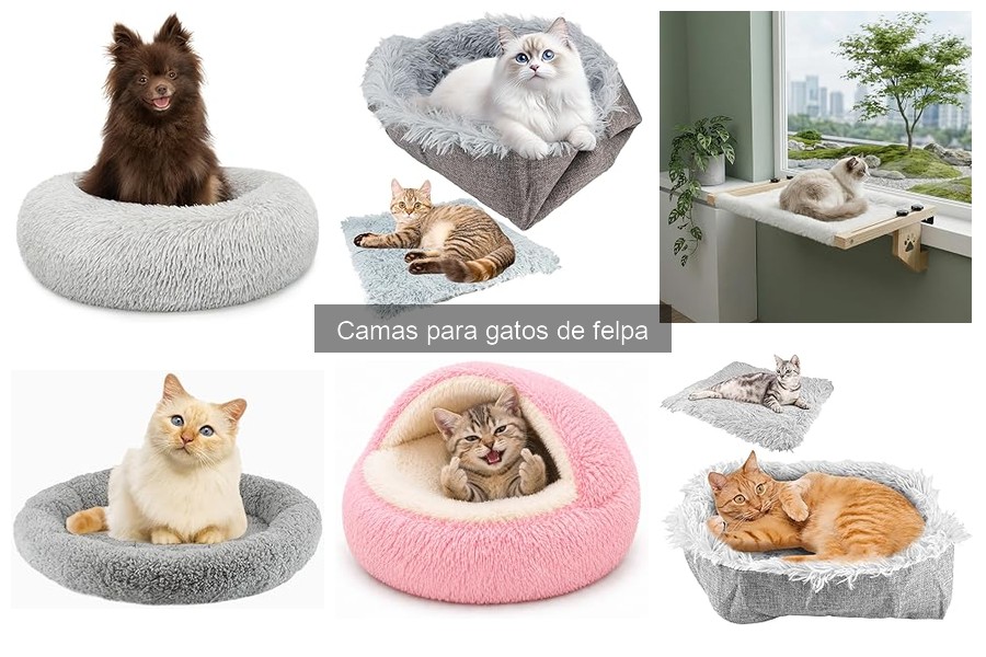 Comparativa: Camas de Felpa vs. Otras Camas para Gatos