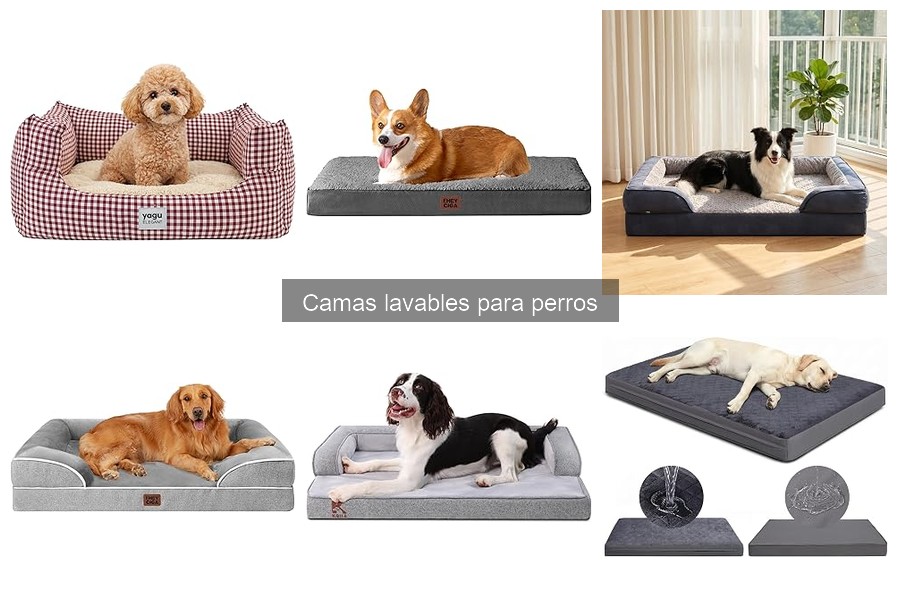 Comparativa: Camas Lavables vs. Camas de Espuma para Perros