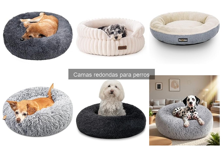 Comparativa: Camas Redondas vs. Ortopédicas para Perros