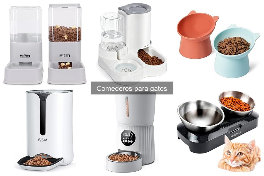 Comparativa: Comederos de acero inoxidable vs plástico para gatos