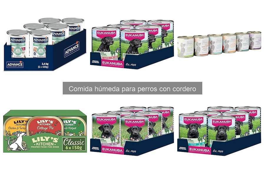 Comparativa: Comida Húmeda de Cordero vs. Comida Seca para Perros