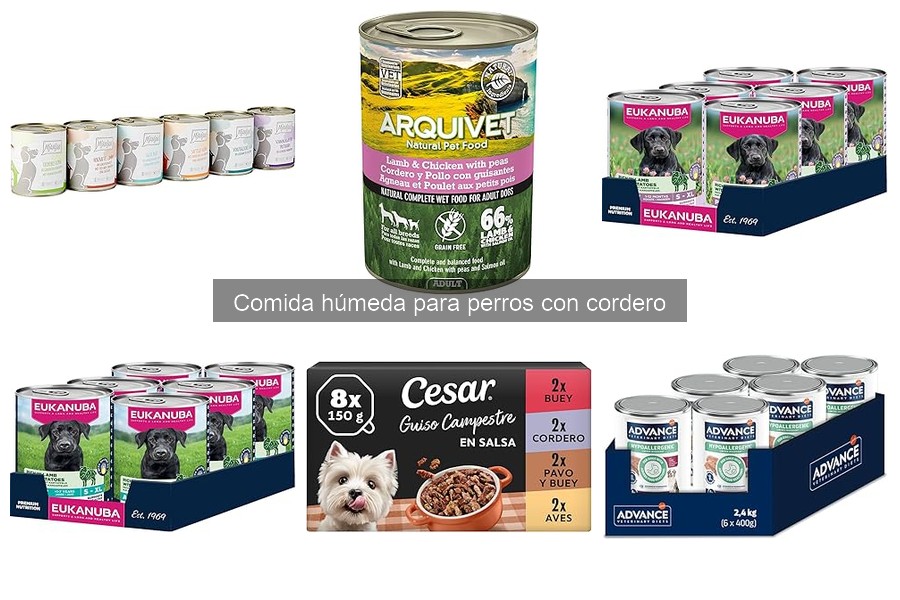 Comparativa: Comida Húmeda de Cordero vs Pollo para Perros