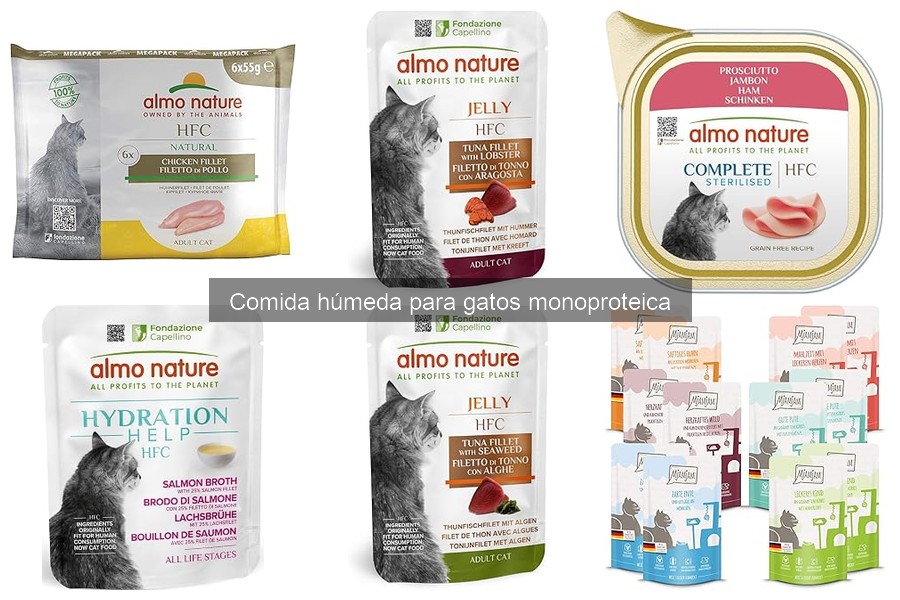 Comparativa: Comida Húmeda Monoproteica vs Comida Seca para Gatos