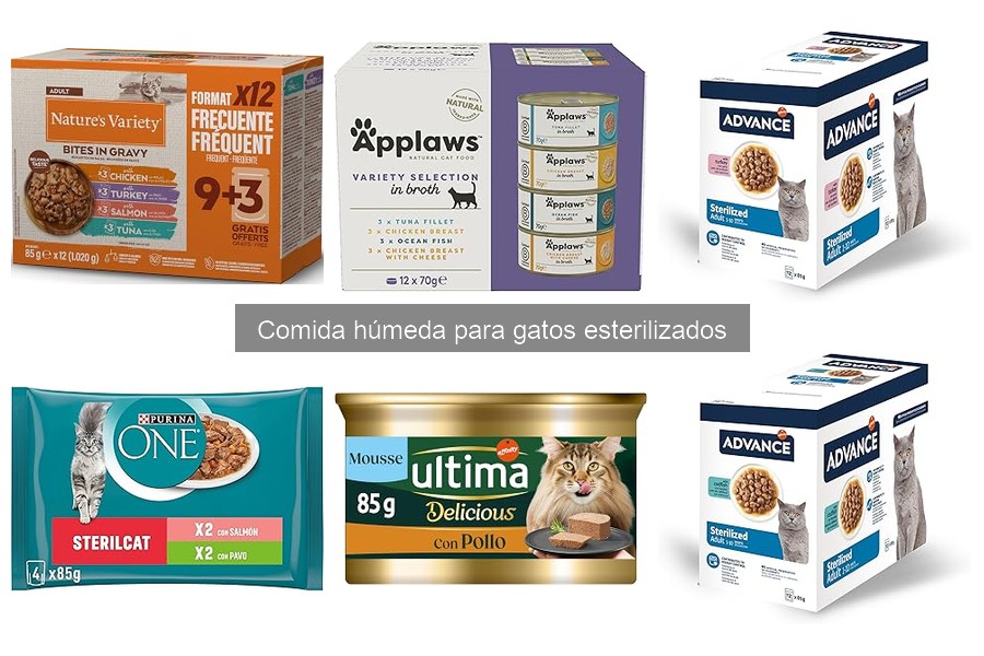 Comparativa: Comida Húmeda para Gatos vs Perros