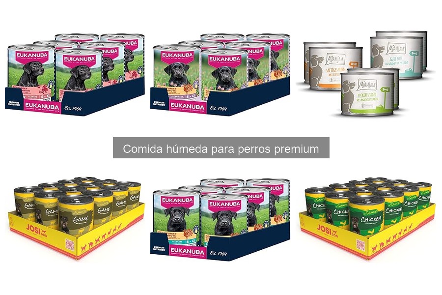 Comparativa: Comida húmeda vs. Comida casera para perros