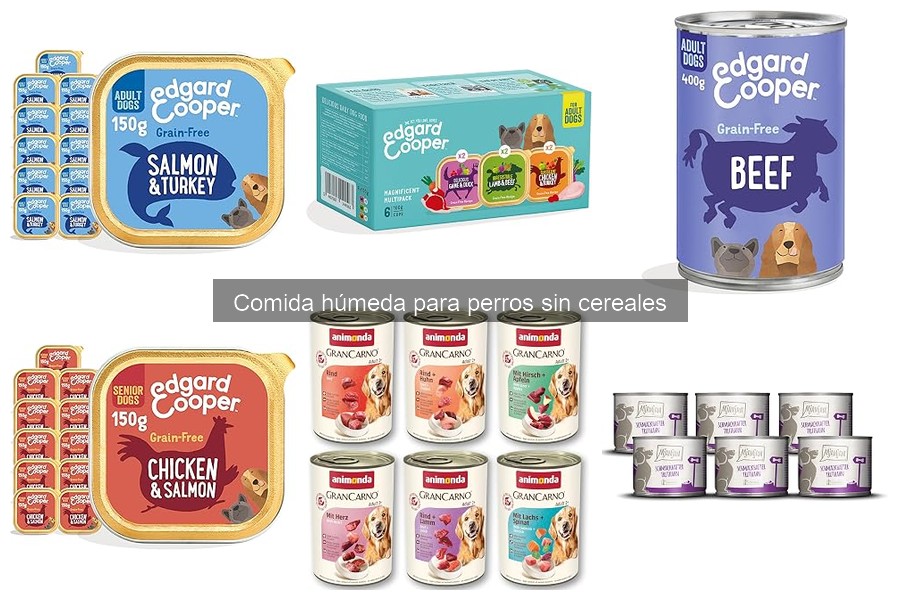 Comparativa: Comida húmeda vs comida seca para perros sin cereales