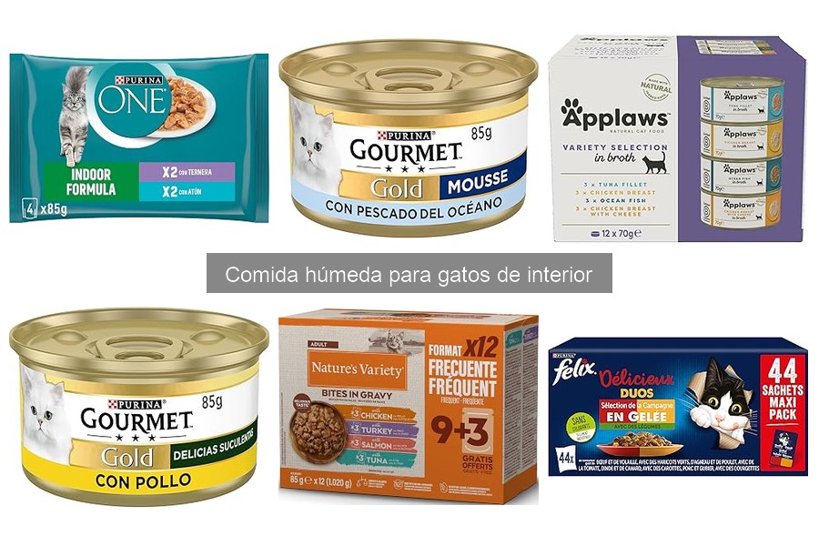 Comparativa: Comida húmeda vs. seca para gatos de interior
