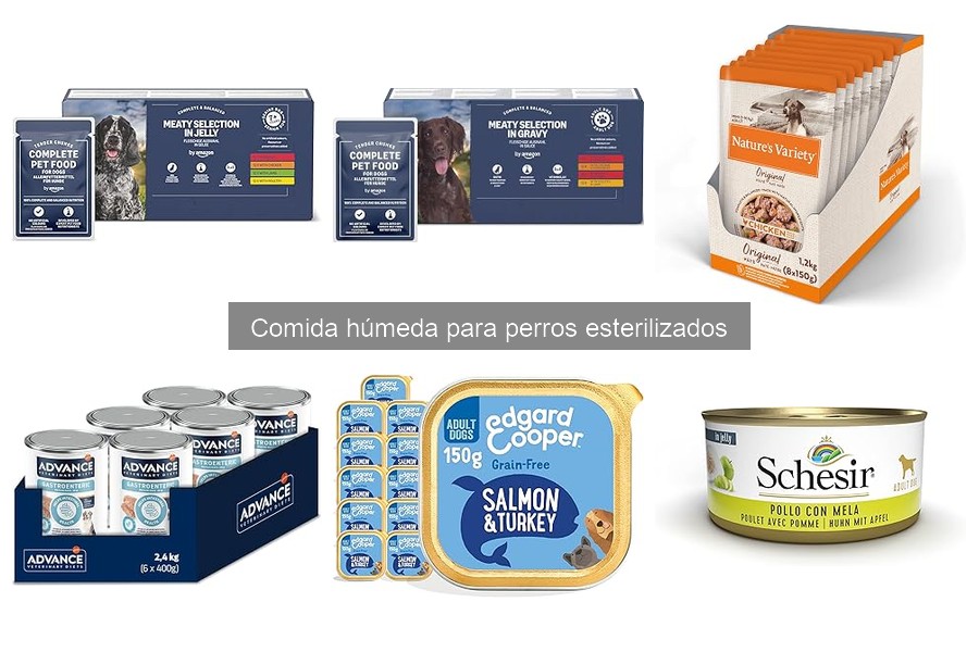 Comparativa: Comida Húmeda vs. Seca para Perros Esterilizados