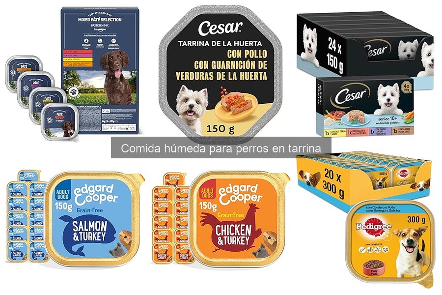Comparativa: Comida Húmeda vs. Seca para Perros