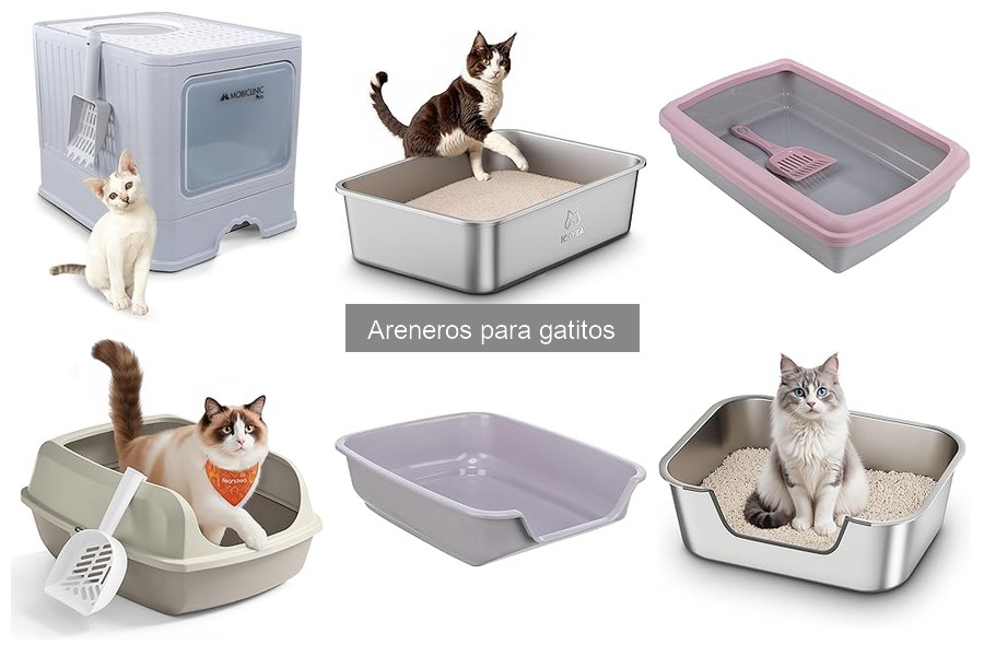 Comparativa de Areneros Automáticos y Manuales para Gatos