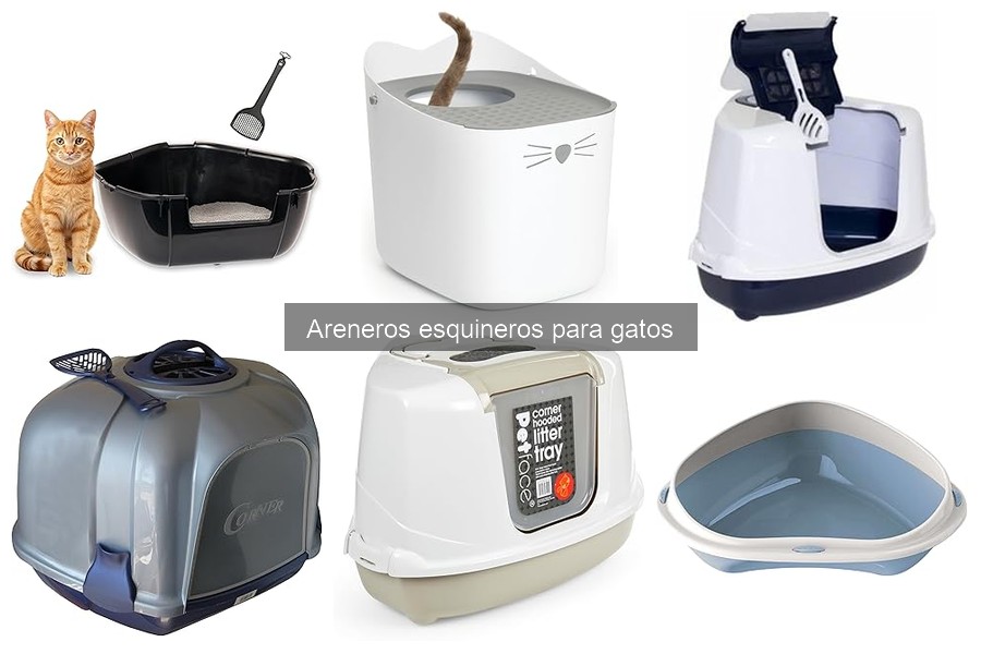 Comparativa de Areneros Esquineros para Gatos: Mejores Modelos