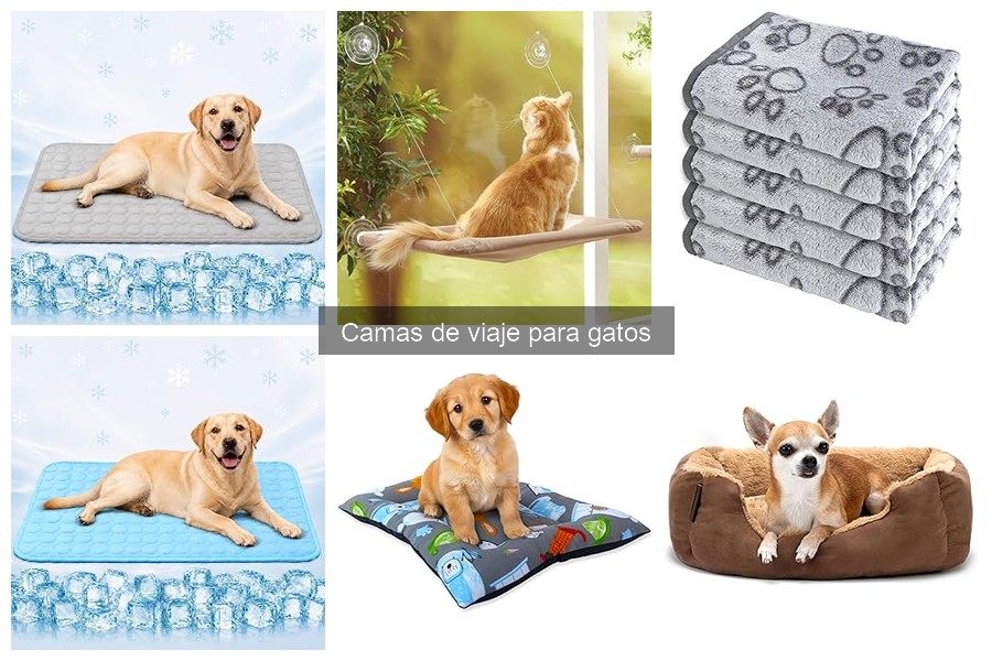 Comparativa de camas de viaje blandas y rígidas para gatos