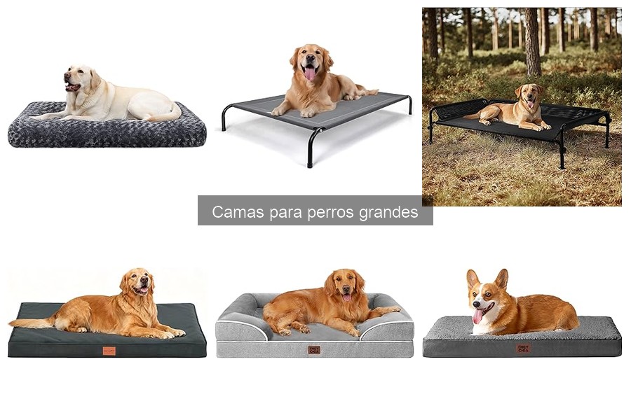Comparativa de camas hinchables vs. camas de espuma para perros grandes