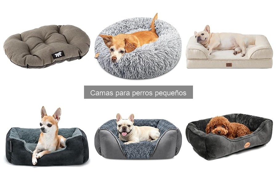 Comparativa de camas para perros pequeños: ortopédicas y más