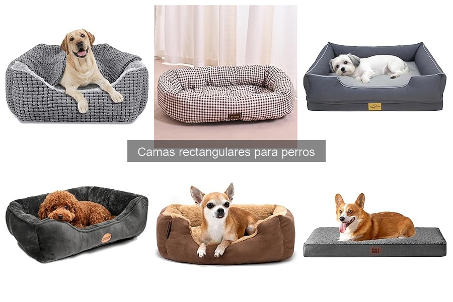 Comparativa de camas rectangulares para perros: las mejores opciones