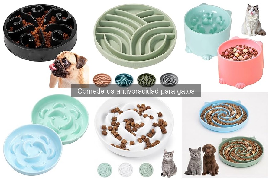 Comparativa de Comederos Antivoracidad: Manuales vs Automáticos