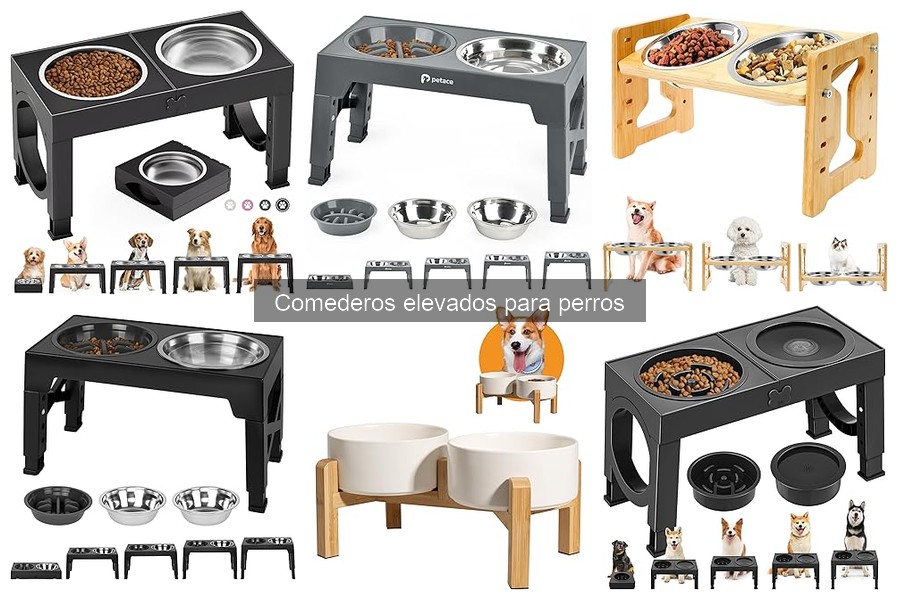 Comparativa de comederos elevados para perros: Mejores marcas