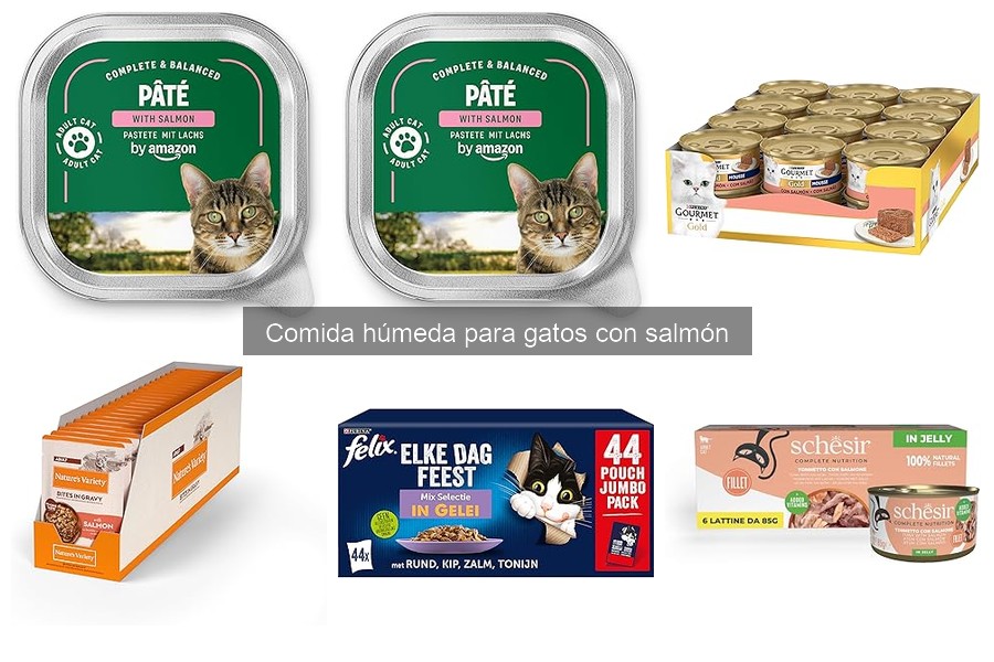 Comparativa de Comida Húmeda para Gatos con Salmón