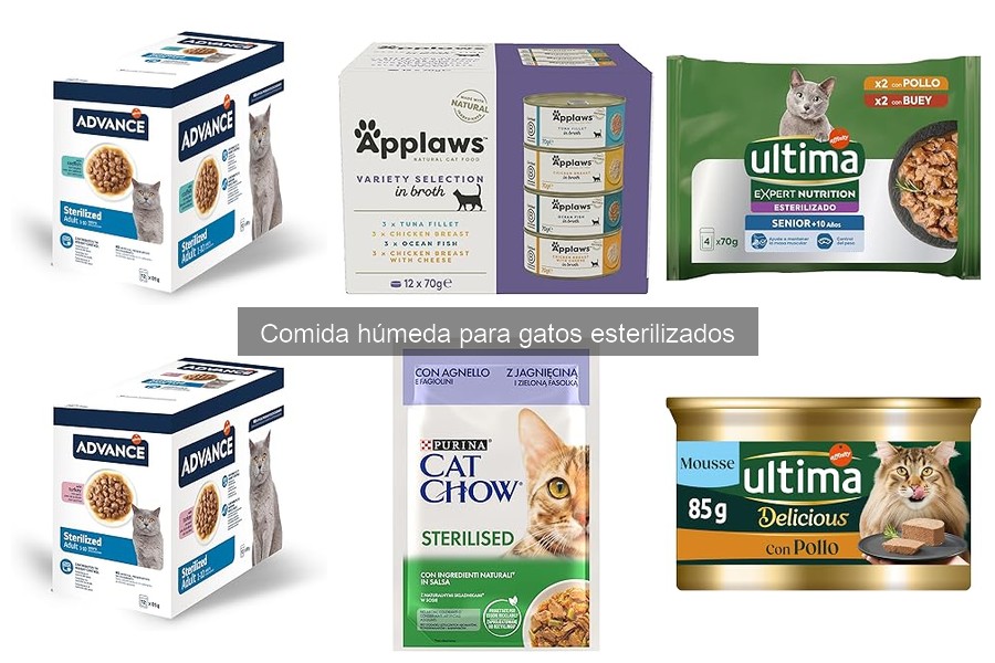 Comparativa de Comida Húmeda para Gatos Esterilizados