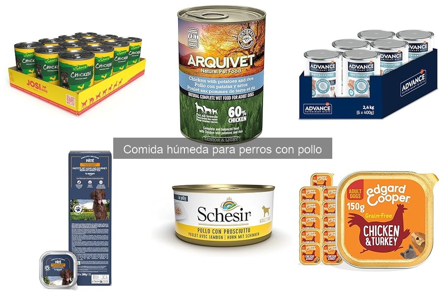 Comparativa de Comida Húmeda para Perros con Pollo