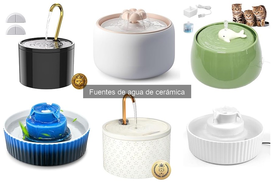 Comparativa de fuentes de agua: cerámica vs. plástico