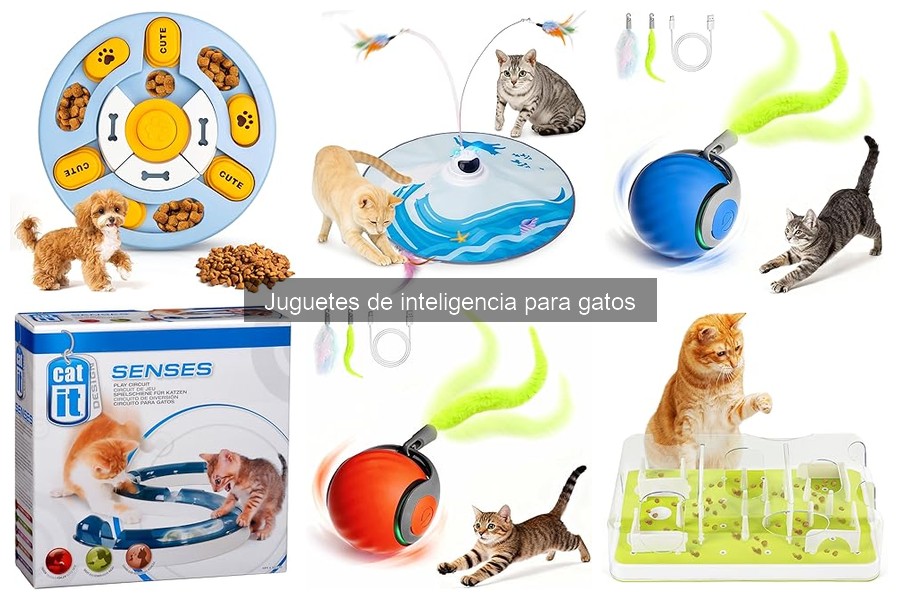 Comparativa de juguetes de inteligencia para gatos: ¿Cuál elegir?
