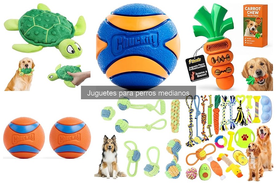 Comparativa de juguetes para perros medianos y grandes