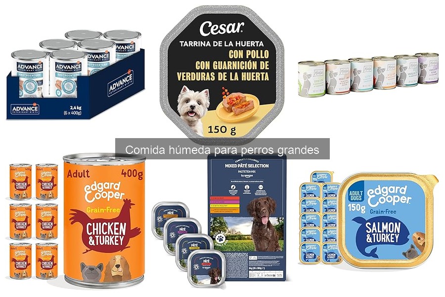 Comparativa de las Mejores Comidas Húmedas para Perros Grandes